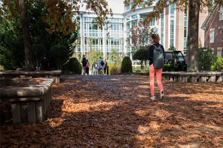 一个学生带着地上的树叶走向图书馆